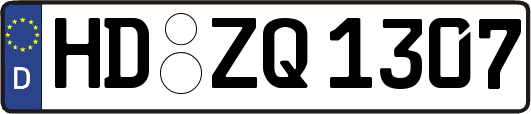 HD-ZQ1307