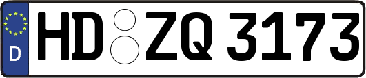 HD-ZQ3173
