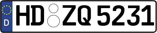 HD-ZQ5231