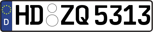 HD-ZQ5313