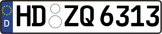 HD-ZQ6313
