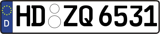 HD-ZQ6531