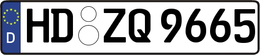 HD-ZQ9665