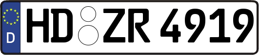 HD-ZR4919