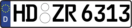 HD-ZR6313