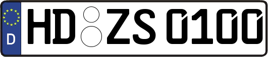 HD-ZS0100