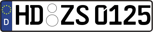 HD-ZS0125