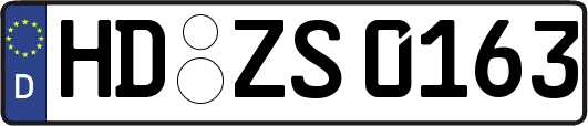 HD-ZS0163
