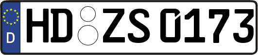 HD-ZS0173