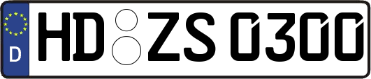 HD-ZS0300
