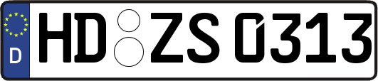 HD-ZS0313