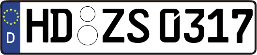 HD-ZS0317