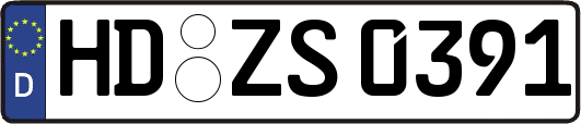 HD-ZS0391