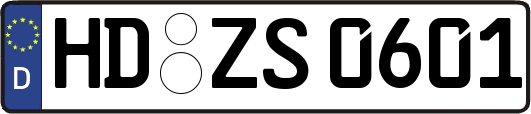 HD-ZS0601