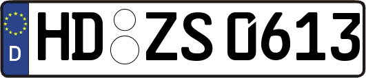 HD-ZS0613