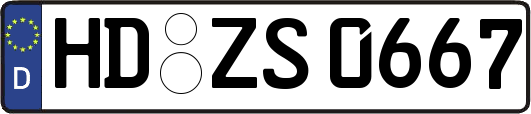 HD-ZS0667
