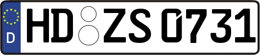 HD-ZS0731