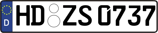 HD-ZS0737