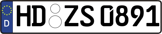 HD-ZS0891