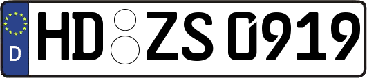 HD-ZS0919