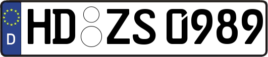HD-ZS0989