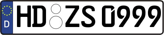 HD-ZS0999