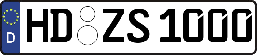 HD-ZS1000