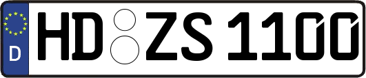HD-ZS1100
