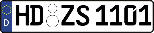 HD-ZS1101