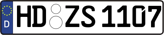 HD-ZS1107