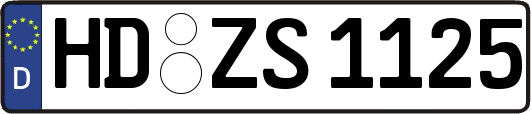 HD-ZS1125