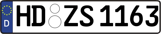 HD-ZS1163