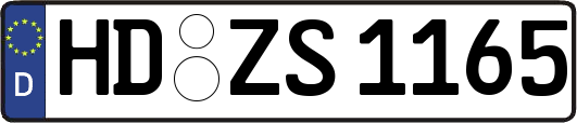 HD-ZS1165