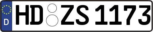 HD-ZS1173