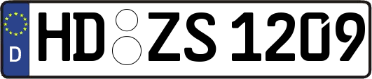 HD-ZS1209
