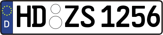 HD-ZS1256