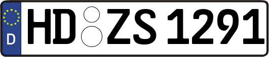 HD-ZS1291