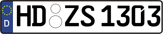 HD-ZS1303