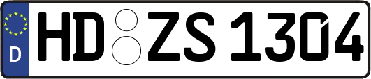HD-ZS1304