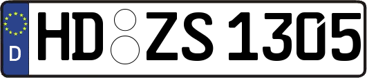 HD-ZS1305