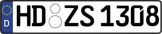HD-ZS1308