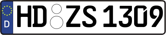 HD-ZS1309