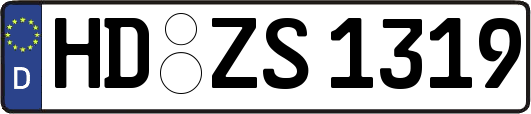 HD-ZS1319