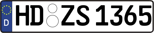 HD-ZS1365