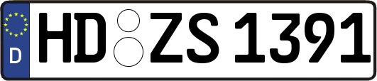 HD-ZS1391