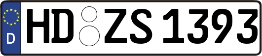 HD-ZS1393