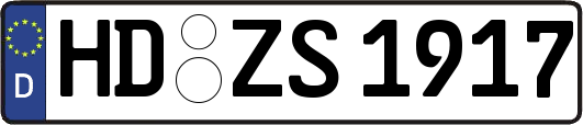 HD-ZS1917
