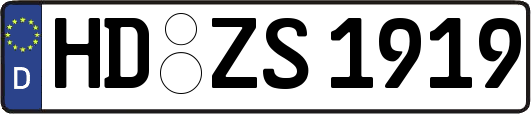 HD-ZS1919