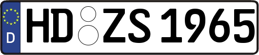 HD-ZS1965