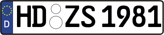 HD-ZS1981